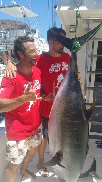 2 Big Eye Tuna & 1 Blue Marlin - Cavalier & Blue Marlin Sport Fishing Gran Canaria