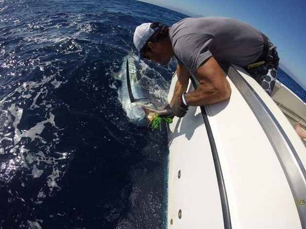 Bilder från igår - Cavalier & Blue Marlin Sport Fishing Gran Canaria