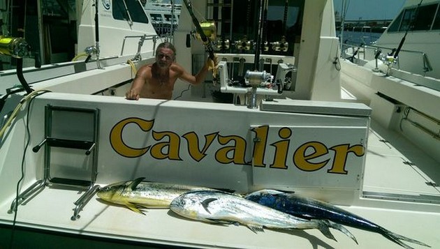 Dorado - Cavalier & Blue Marlin Sport Fishing Gran Canaria