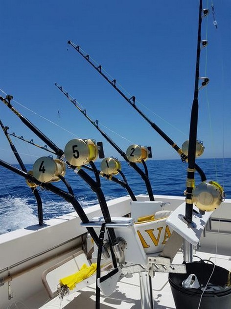 Speciellt för alla svenska sportfiskare - Cavalier & Blue Marlin Sport Fishing Gran Canaria