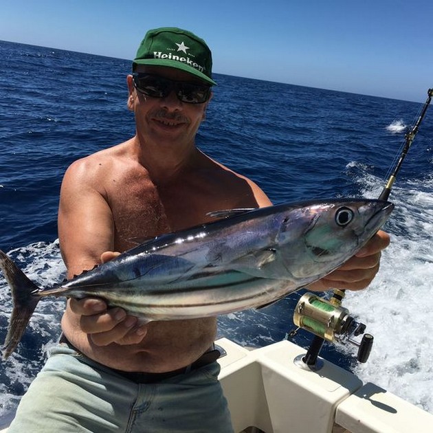 Skipjack tonfisk - Cavalier & Blue Marlin Sport Fishing Gran Canaria