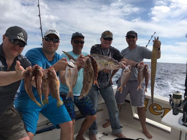 Båtkavalier - 14-11-16 - Cavalier & Blue Marlin Sport Fishing Gran Canaria