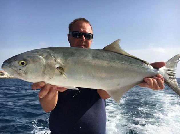 7 kg blå fisk - Cavalier & Blue Marlin Sport Fishing Gran Canaria