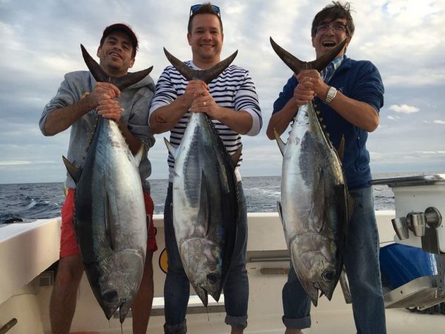 3 Big Eye Tuna - Cavalier & Blue Marlin Sport Fishing Gran Canaria