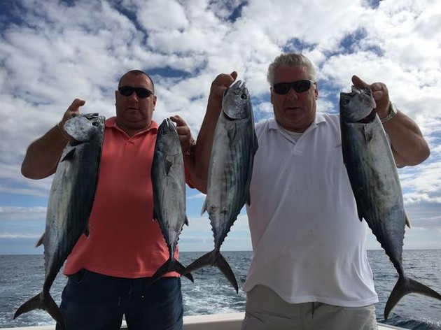 Nordatlantiska Bonito - Cavalier & Blue Marlin Sport Fishing Gran Canaria