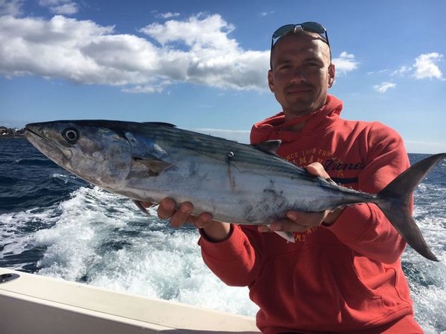 Bra fångster på Cavalier - Cavalier & Blue Marlin Sport Fishing Gran Canaria