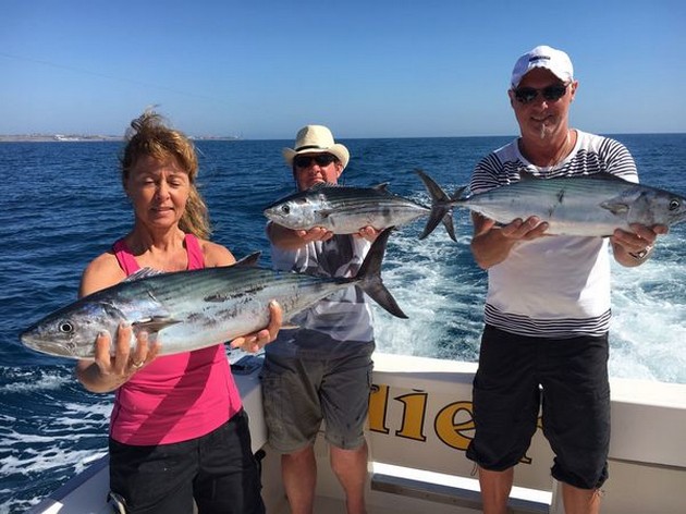 Tyst dag - Cavalier & Blue Marlin Sport Fishing Gran Canaria