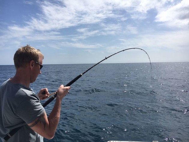 Atlantic Bonito's, Barracuda och ...............? - Cavalier & Blue Marlin Sport Fishing Gran Canaria