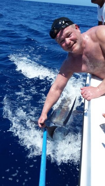 Blue Marlin - Cavalier & Blue Marlin Sport Fishing Gran Canaria