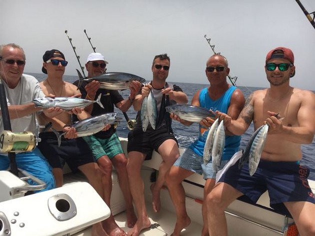 Skipjack tonfisk - Cavalier & Blue Marlin Sport Fishing Gran Canaria