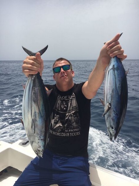 Måttliga fångster under de senaste veckorna - Cavalier & Blue Marlin Sport Fishing Gran Canaria