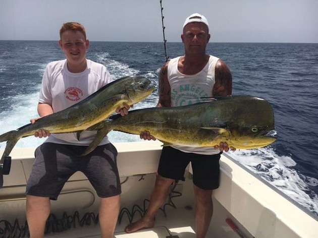 Dorado - Cavalier & Blue Marlin Sport Fishing Gran Canaria