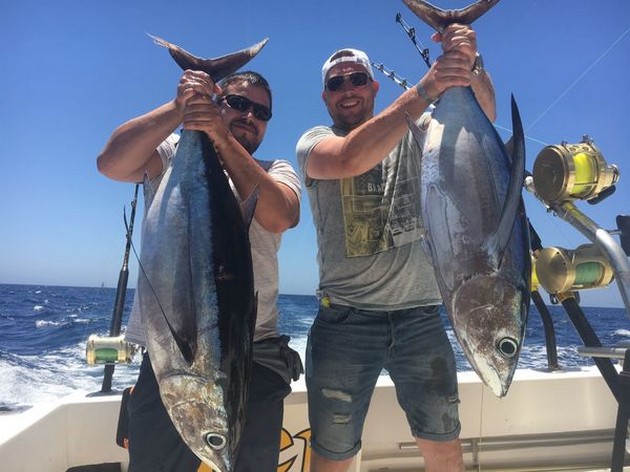 Albacores - Cavalier & Blue Marlin Sport Fishing Gran Canaria