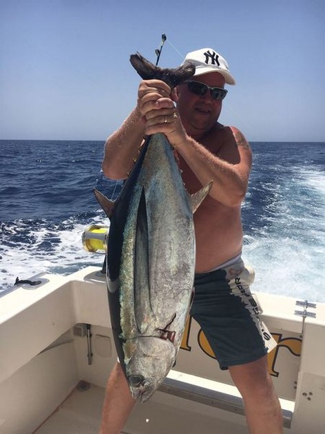 Albacores - Cavalier & Blue Marlin Sport Fishing Gran Canaria