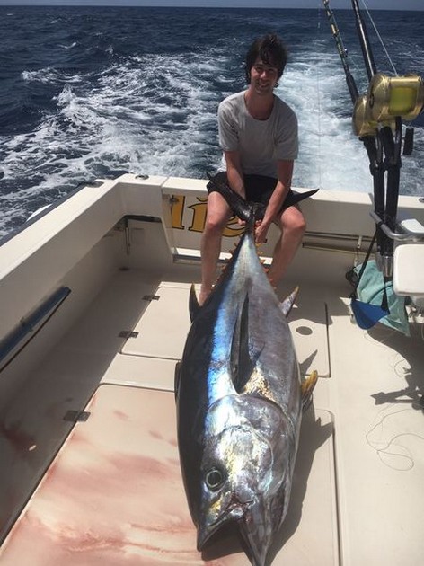 300 lb Big Eye tonfisk - Cavalier & Blue Marlin Sport Fishing Gran Canaria