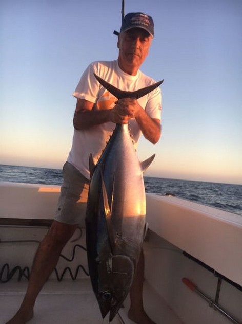 Albacore - Cavalier & Blue Marlin Sport Fishing Gran Canaria