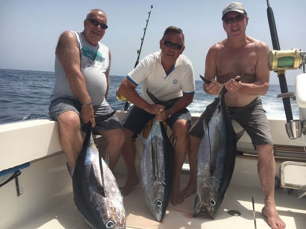 3 Albacores - Cavalier & Blue Marlin Sport Fishing Gran Canaria