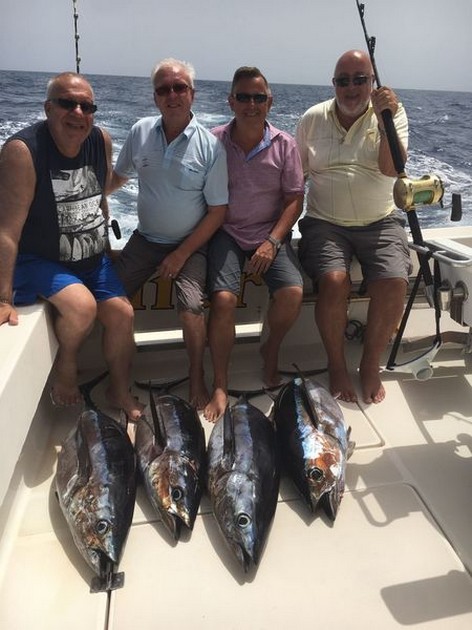 Massor av Albacores - Cavalier & Blue Marlin Sport Fishing Gran Canaria