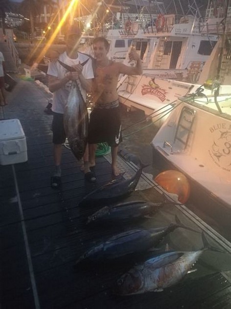 Albacores - Cavalier & Blue Marlin Sport Fishing Gran Canaria