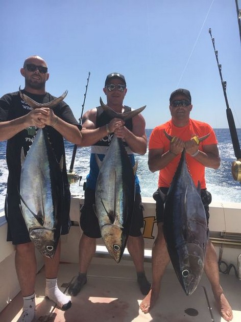 3 Albacores - Cavalier & Blue Marlin Sport Fishing Gran Canaria