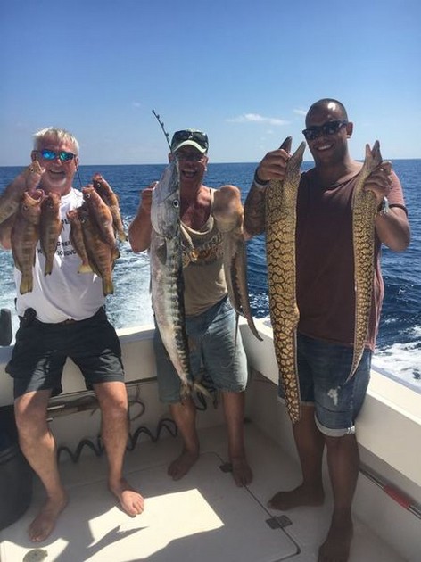 De flesta båtar fiskade i botten idag. - Cavalier & Blue Marlin Sport Fishing Gran Canaria