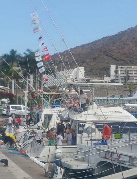 Stora fångster - Cavalier & Blue Marlin Sport Fishing Gran Canaria