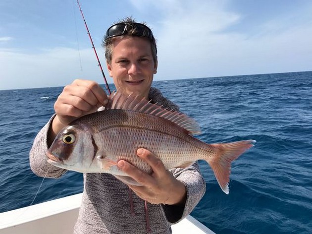 Stora fångster - Cavalier & Blue Marlin Sport Fishing Gran Canaria