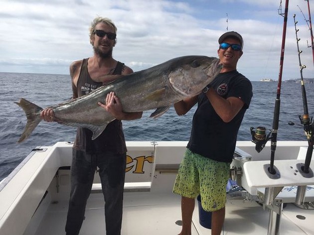 38 kg Amberjack - Cavalier & Blue Marlin Sport Fishing Gran Canaria