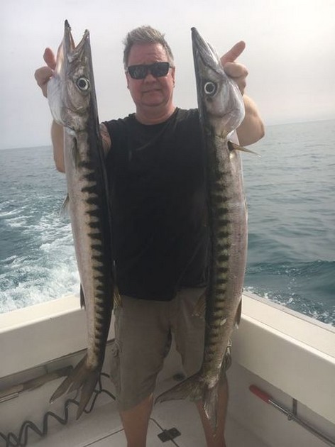 Barracuda - Cavalier & Blue Marlin Sport Fishing Gran Canaria