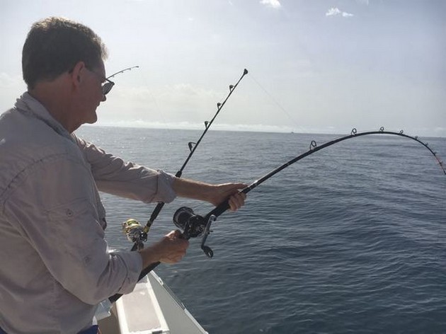 Trevliga fångster - Cavalier & Blue Marlin Sport Fishing Gran Canaria