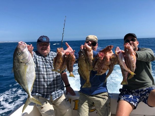 Tonfisk är tillbaka !!!! - Cavalier & Blue Marlin Sport Fishing Gran Canaria