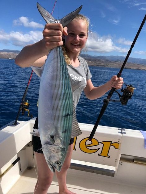 Akta dig för Weever Fish! - Cavalier & Blue Marlin Sport Fishing Gran Canaria