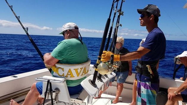 200 kg Blue Marlin - Cavalier & Blue Marlin Sport Fishing Gran Canaria