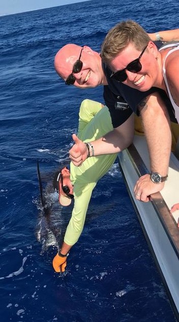 400 kg Blue Marlin - Cavalier & Blue Marlin Sport Fishing Gran Canaria