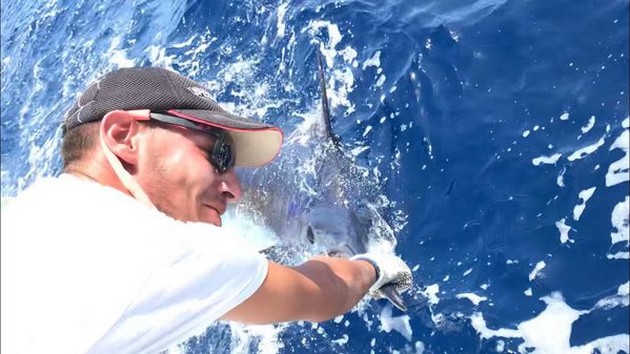 450 kg Blue Marlin - Cavalier & Blue Marlin Sport Fishing Gran Canaria