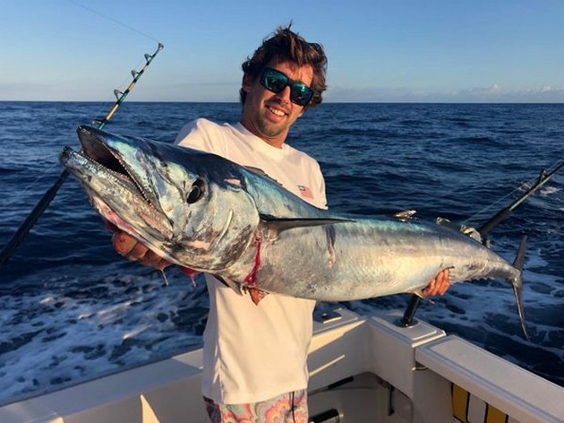 Wahoo - Cavalier & Blue Marlin Sport Fishing Gran Canaria