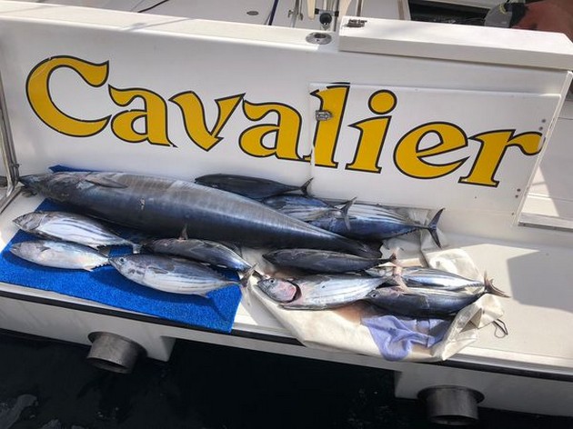 Wahoo & Skipjacks - Cavalier & Blue Marlin Sport Fishing Gran Canaria