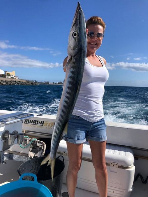 Där går vi igen! - Cavalier & Blue Marlin Sport Fishing Gran Canaria