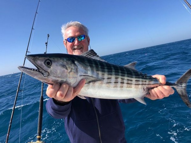 Nordatlantiska Bonito - Cavalier & Blue Marlin Sport Fishing Gran Canaria