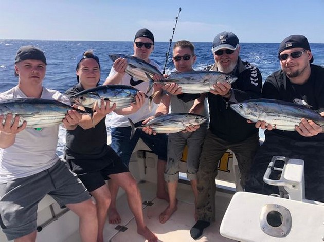 Skipjack tonfisk - Cavalier & Blue Marlin Sport Fishing Gran Canaria