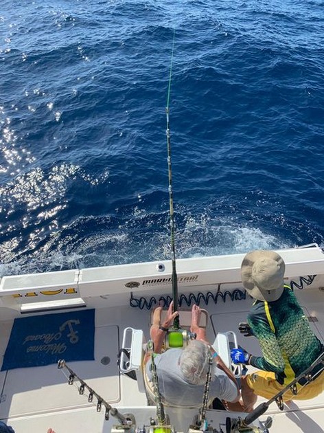 September Photo Archive 2019 Cavalier & Blue Marlin Sport Fishing Gran Canaria