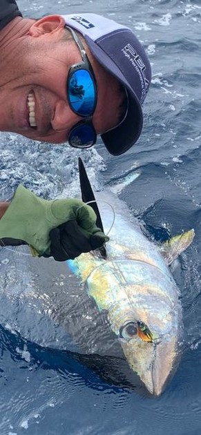 Tonfisk Explosion - Cavalier & Blue Marlin Sport Fishing Gran Canaria