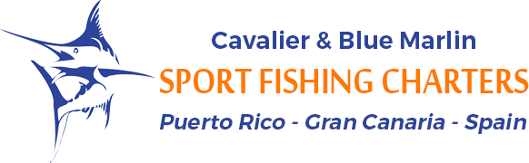 Cavalier Blue Marlin Pêche sportive Gran Canaria - Cavalier & Blue Marlin Sport Fishing Gran Canaria