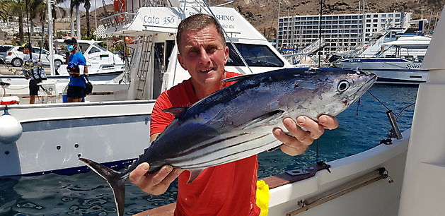 Skipjack tonfisk - Cavalier & Blue Marlin Sport Fishing Gran Canaria