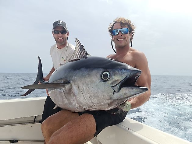 Föreställningen fortsätter! - Cavalier & Blue Marlin Sport Fishing Gran Canaria