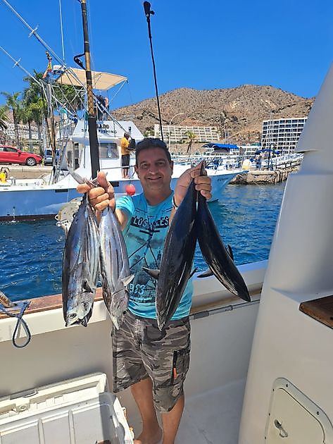 7/10 - También Blue Marlin en el Blue Marlin 3 - Cavalier & Blue Marlin ...