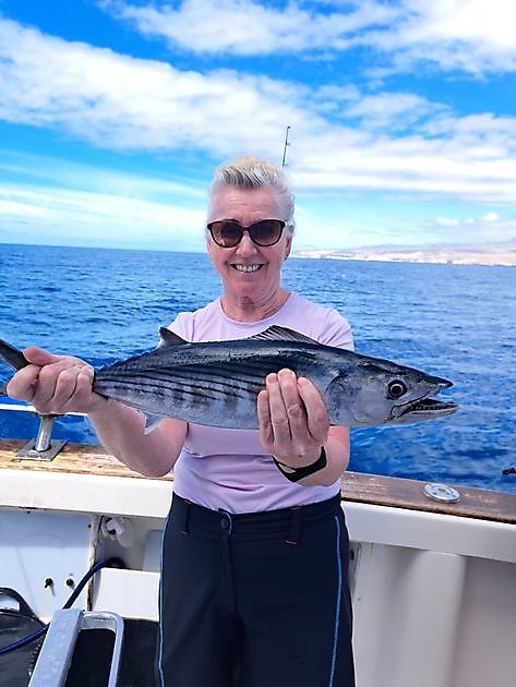 350 kg Bluefin Tuna Photo 6498 - Cavalier & Blue Marlin Sport Fishing Gran  Canaria