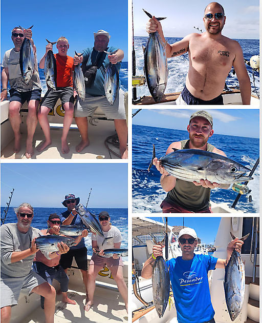 19/06 - SKIPJACK TONIJN!! - Cavalier & Blue Marlin Sport Fishing Gran Canaria