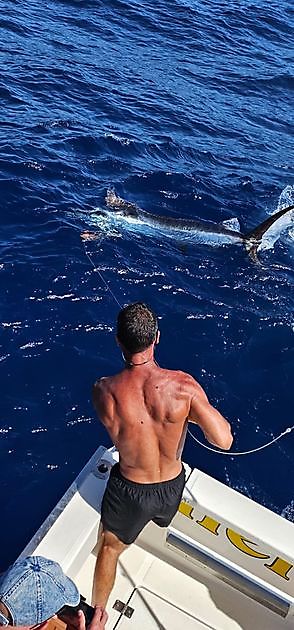 24/06 - PARTY GOES ON!!! - Cavalier & Blue Marlin Sport Fishing Gran Canaria