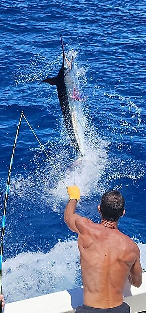 25/06 - MORE MARLIN!!!! - Cavalier & Blue Marlin Sport Fishing Gran Canaria